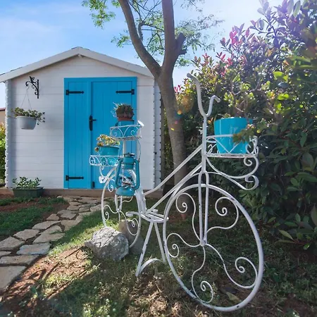 Villa Charming Dory